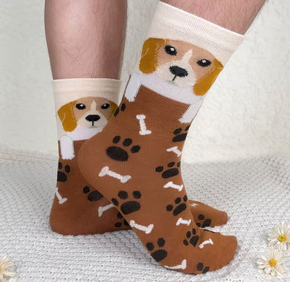 Dog Lover Collection